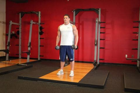 Side Lateral Raise: start and end position of the movement
