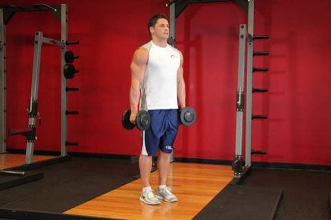 Hammer Curls: start and end position of the movement