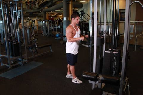 Triceps Pushdown: start and end position of the movement